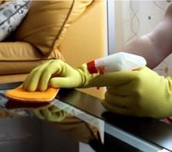 Detailed wet or dry dusting